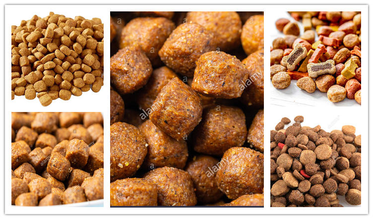 250kg/hour Dog Food Processing Line