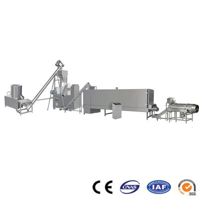 Fried Type Nik Naks Equipment