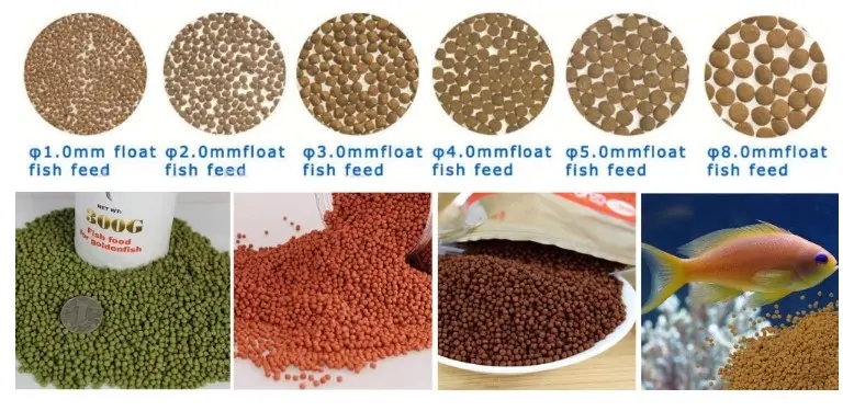 Fish Feed Making Machine