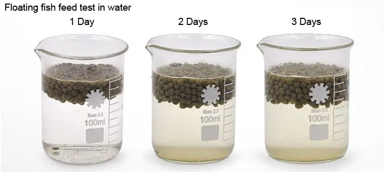 Fish Feed Making Machine