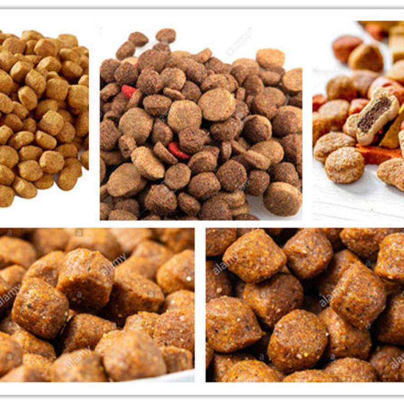 Classification of Dog Food